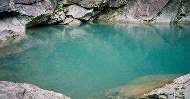 Em Frente à Piscina Natural Da Região