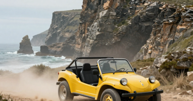 Passeios De Buggy Pelas Falésias De Carapibus