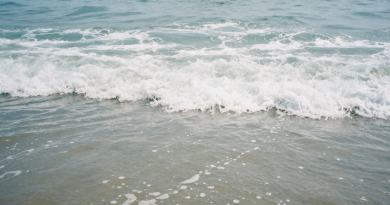 Atividade Mindfulness Ao Som Das Ondas